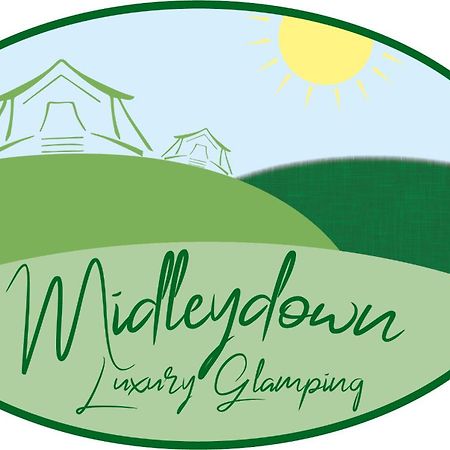 Midleydown Luxury Glamping Hotel Exeter Buitenkant foto
