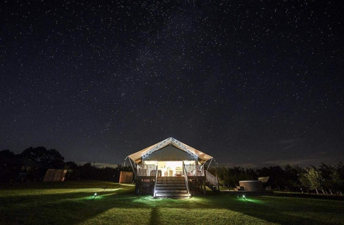 Midleydown Luxury Glamping Hotel Exeter Buitenkant foto