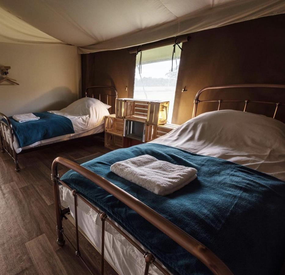 Midleydown Luxury Glamping Hotel Exeter Buitenkant foto