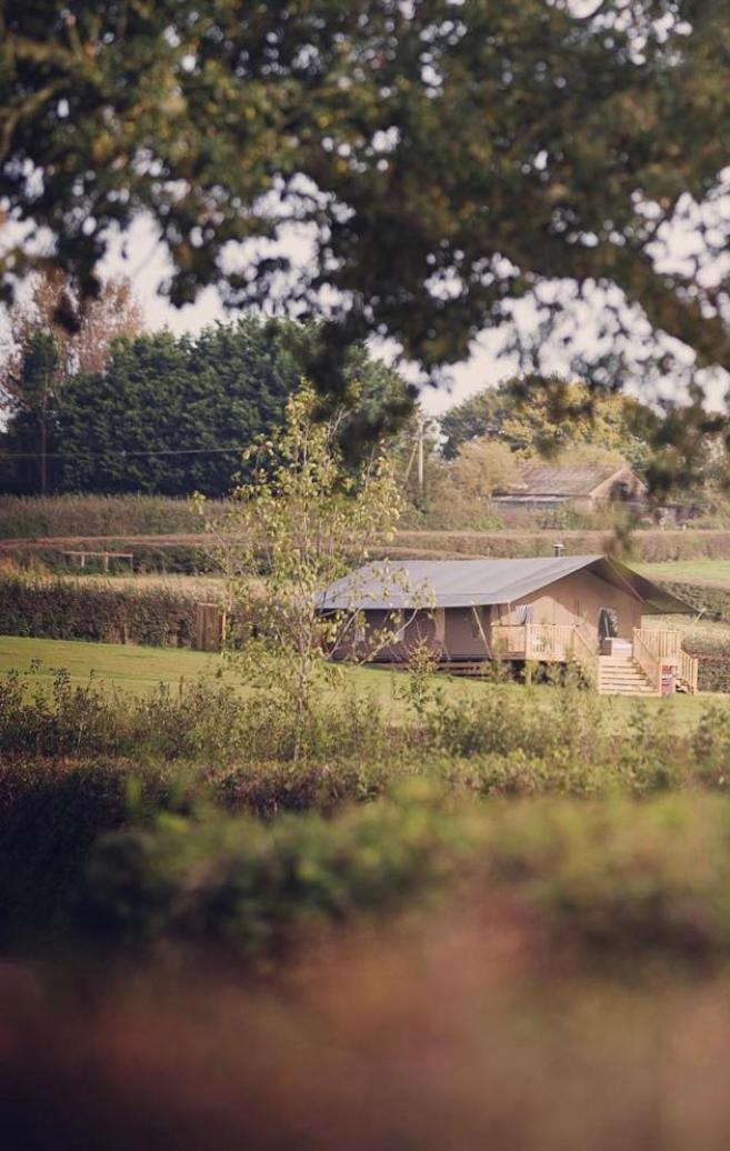 Midleydown Luxury Glamping Hotel Exeter Buitenkant foto