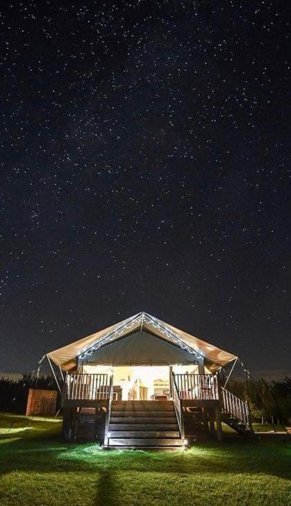 Midleydown Luxury Glamping Hotel Exeter Buitenkant foto